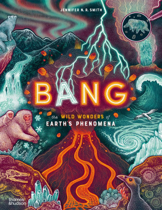 Bang (Jennifer N. R. Smith)(Pevná)