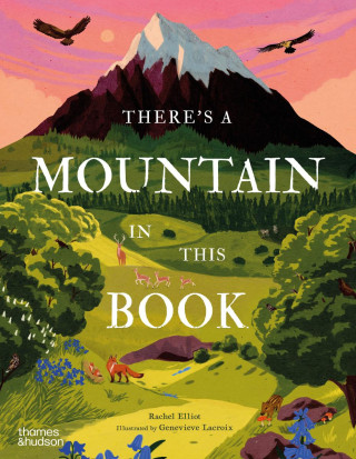 There's a Mountain in This Book (Rachel Elliot)()