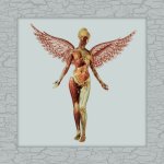 In Utero (LTD. Super Deluxe,5CD)