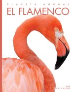 El Flamenco