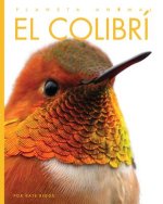 El Colibrí
