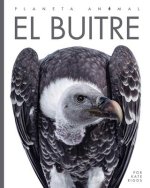 El Buitre