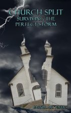 Church Split Surviving the Perfect Storm