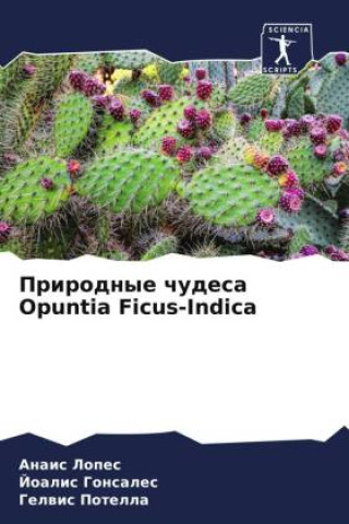 Prirodnye chudesa Opuntia Ficus-Indica