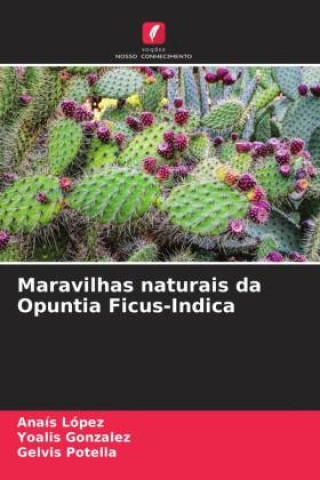 Maravilhas naturais da Opuntia Ficus-Indica