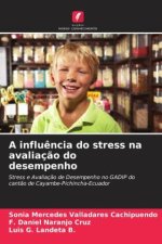 A influ?ncia do stress na avaliaç?o do desempenho