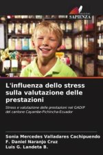 L'influenza dello stress sulla valutazione delle prestazioni