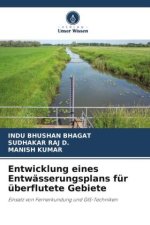 Entwicklung eines Entwässerungsplans für überflutete Gebiete