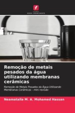 Remoç?o de metais pesados da água utilizando membranas cerâmicas