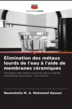 Élimination des métaux lourds de l'eau ? l'aide de membranes céramiques