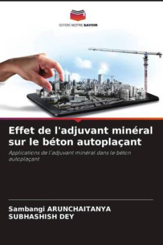 Effet de l'adjuvant minéral sur le béton autoplaçant