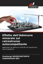 Effetto dell'Admixure minerale sul calcestruzzo autocompattante