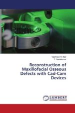 Reconstruction of Maxillofacial Osseous Defects with Cad-Cam Devices