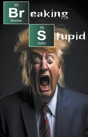 Breaking Stupid