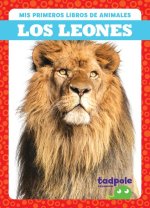 Los Leones (Lions)