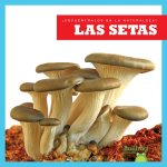 Las Setas (Mushrooms)