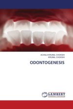 ODONTOGENESIS