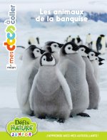 Bioviva - Les animaux de la banquise