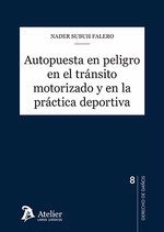 AUTOPUESTA EN PELIGRO EN EL TRANSITO MOTORIZADO Y EN LA PRACTICA