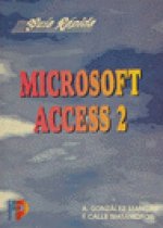 MICROSOFT ACCESS 2