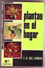 PLANTAS EN EL HOGAR