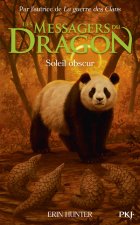 Les Messagers du Dragon, Cycle 1 - Tome 4