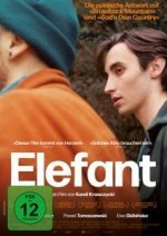Elefant, 1 DVD (OmU)