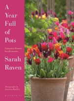 YEAR FULL OF POTS