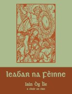 Leabhar na F?inne