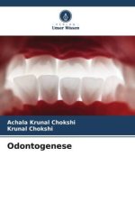 Odontogenese