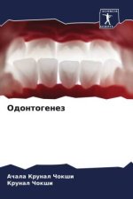 Odontogenez