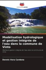 Modélisation hydrologique et gestion intégrée de l'eau dans la commune de Vinto
