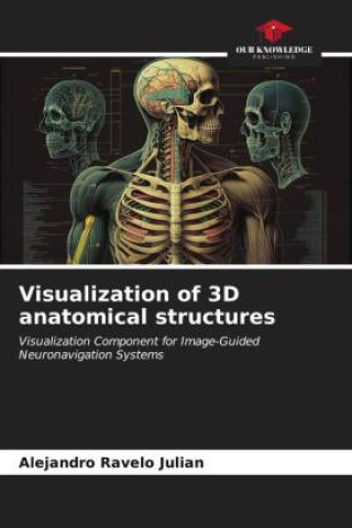 Visualization of 3D anatomical structures