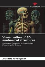 Visualization of 3D anatomical structures