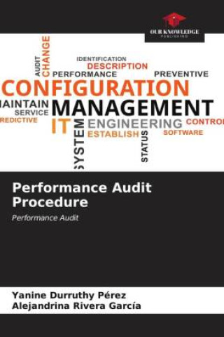 Performance Audit Procedure