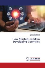 How Startups work in Developing Countries