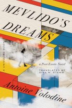 Mevlido`s Dreams – A Post–Exotic Novel