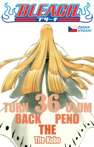 Bleach 36: Turn Back The Pendulum