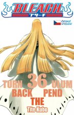 Bleach 36: Turn Back The Pendulum