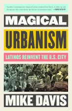 Magical Urbanism: Latinos Reinvent the Us City