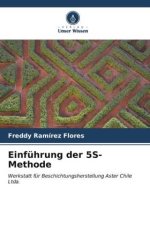 Einführung der 5S-Methode