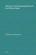 Chinese as a Second Language Research from Different Angles
