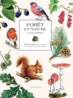 Forêt et nature à colorier - NE