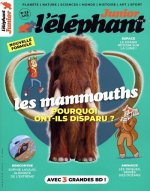 Elephant junior n°20