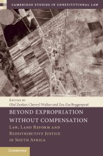 Beyond Expropriation Without Compensation