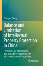 Balance and Limitation of Intellectual Property Protection in China