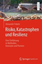 Risiko, Katastrophen und Resilienz