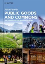 Public Goods and Commons