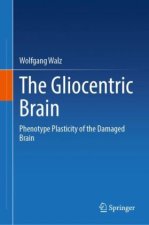 The Gliocentric Brain