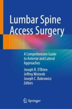Lumbar Spine Access Surgery